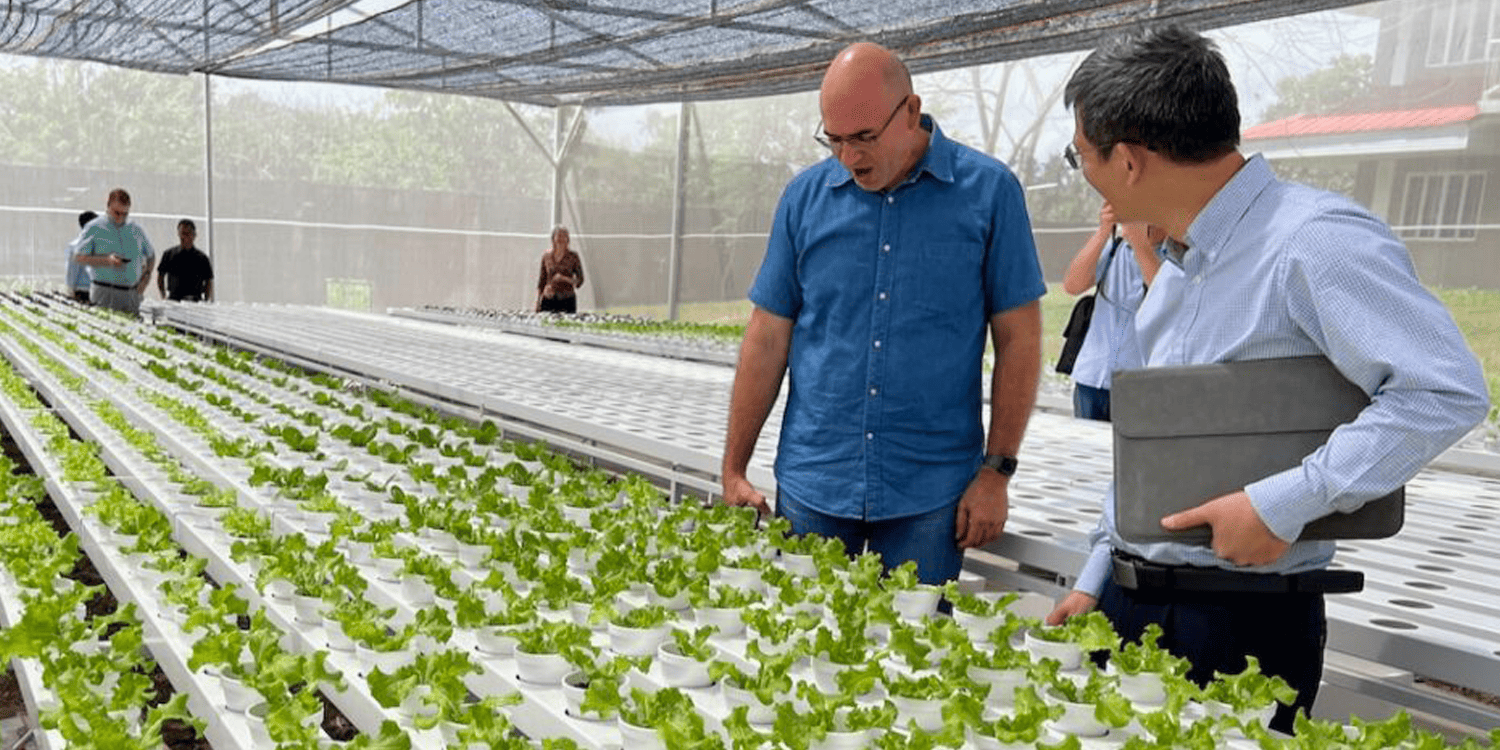Adventist University Launches Hydroponic Greenhouse Project - Seventh ...
