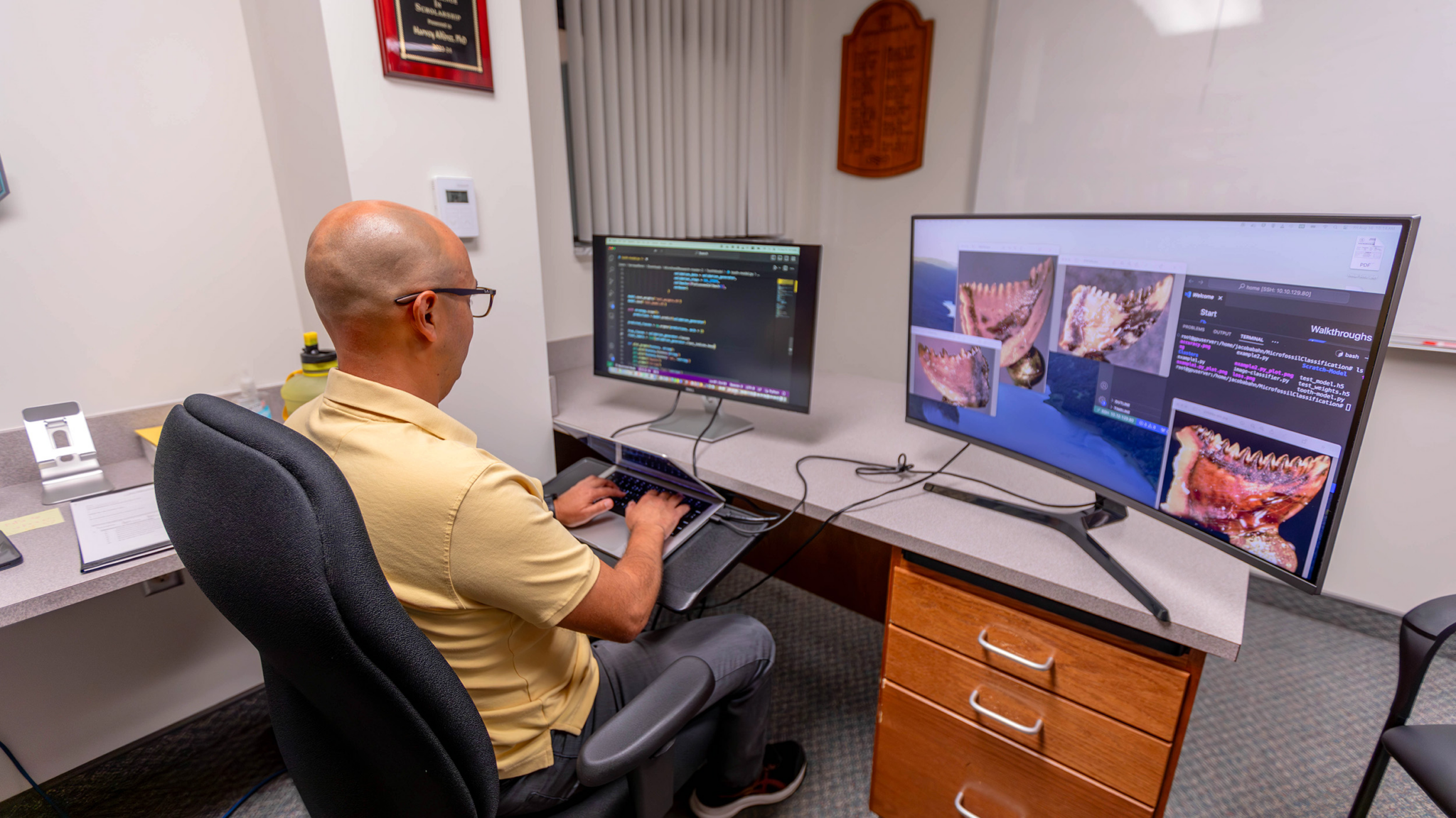 Southern Adventist University Trains AI Model to Classify Dinosaur ...